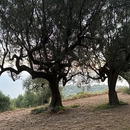 Terra Mia Cilento Apartamento Ascea