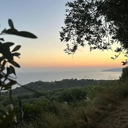 Terra Mia Cilento Apartamento *